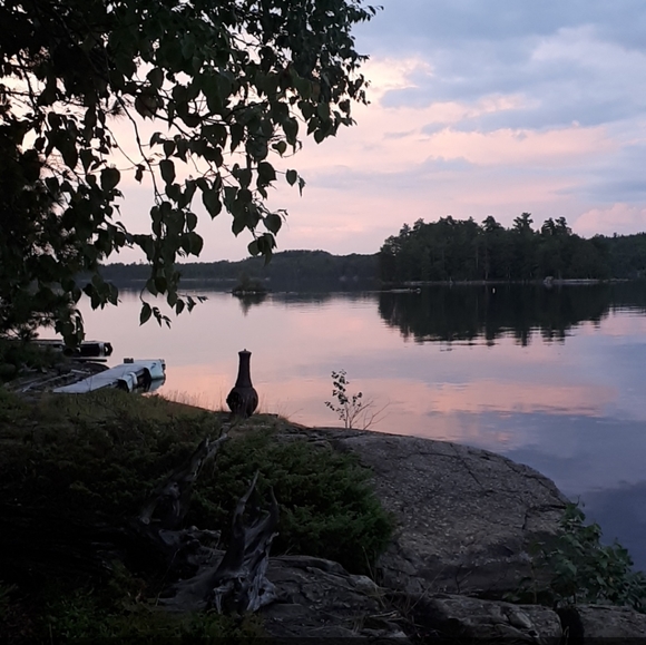 3+ bundles get 15% off - Picture 1 of 1